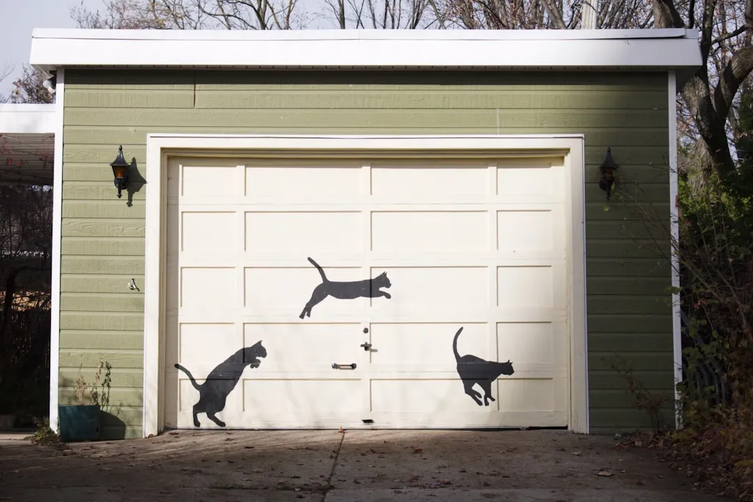 #10 - Letting Cats Sleep in Garages or Basements Full of Chemicals (Image Credits: Unsplash)