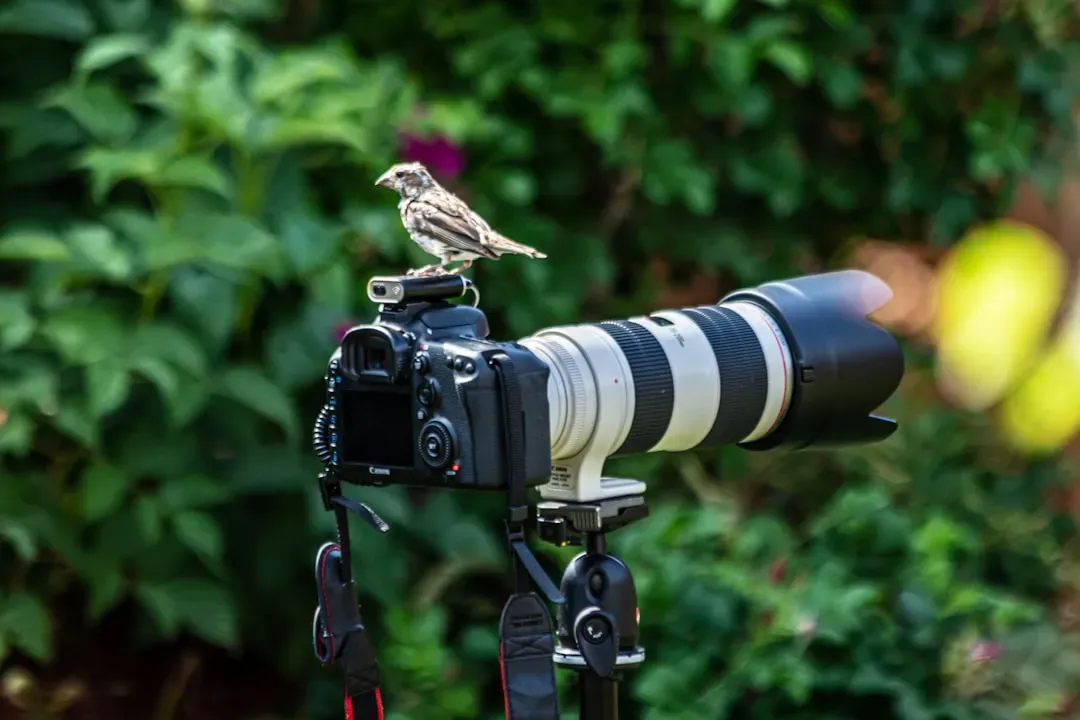Step 1: Set Up Your Viewing Space for Success (Image Credits: Unsplash)