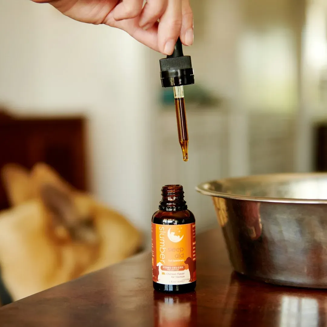 #2: Scented Sprays, Air Fresheners, and Essential Oils (Image Credits: Unsplash)