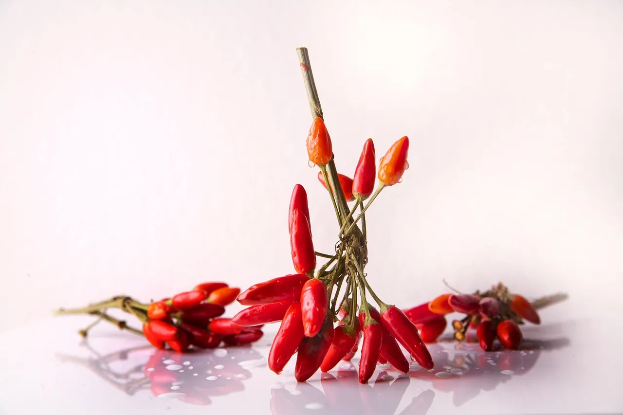 7. Capsaicin and chili powder (Image Credits: Pixabay)