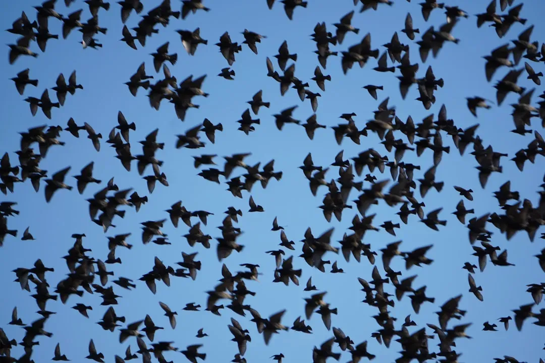 #12: Bats Are Quick Learners With Remarkably Long Memories (Image Credits: Unsplash)