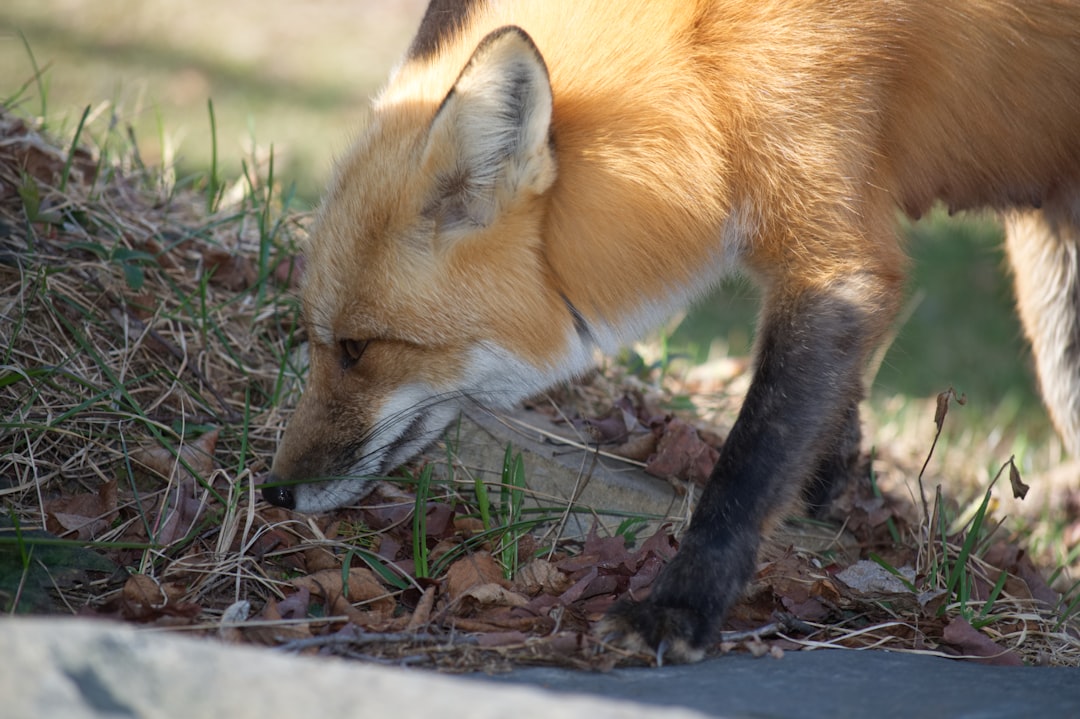 When Instincts Get Hijacked by Handouts (Image Credits: Unsplash)