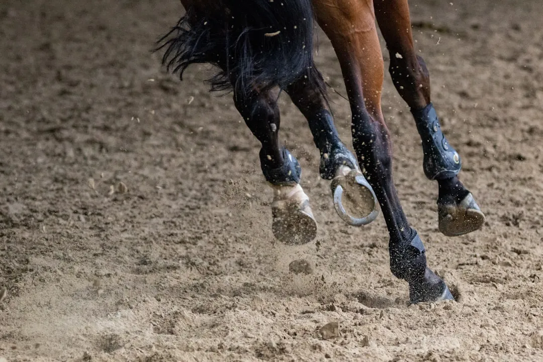 #6 - Standing Slightly Wider or Under Themselves (Image Credits: Unsplash)