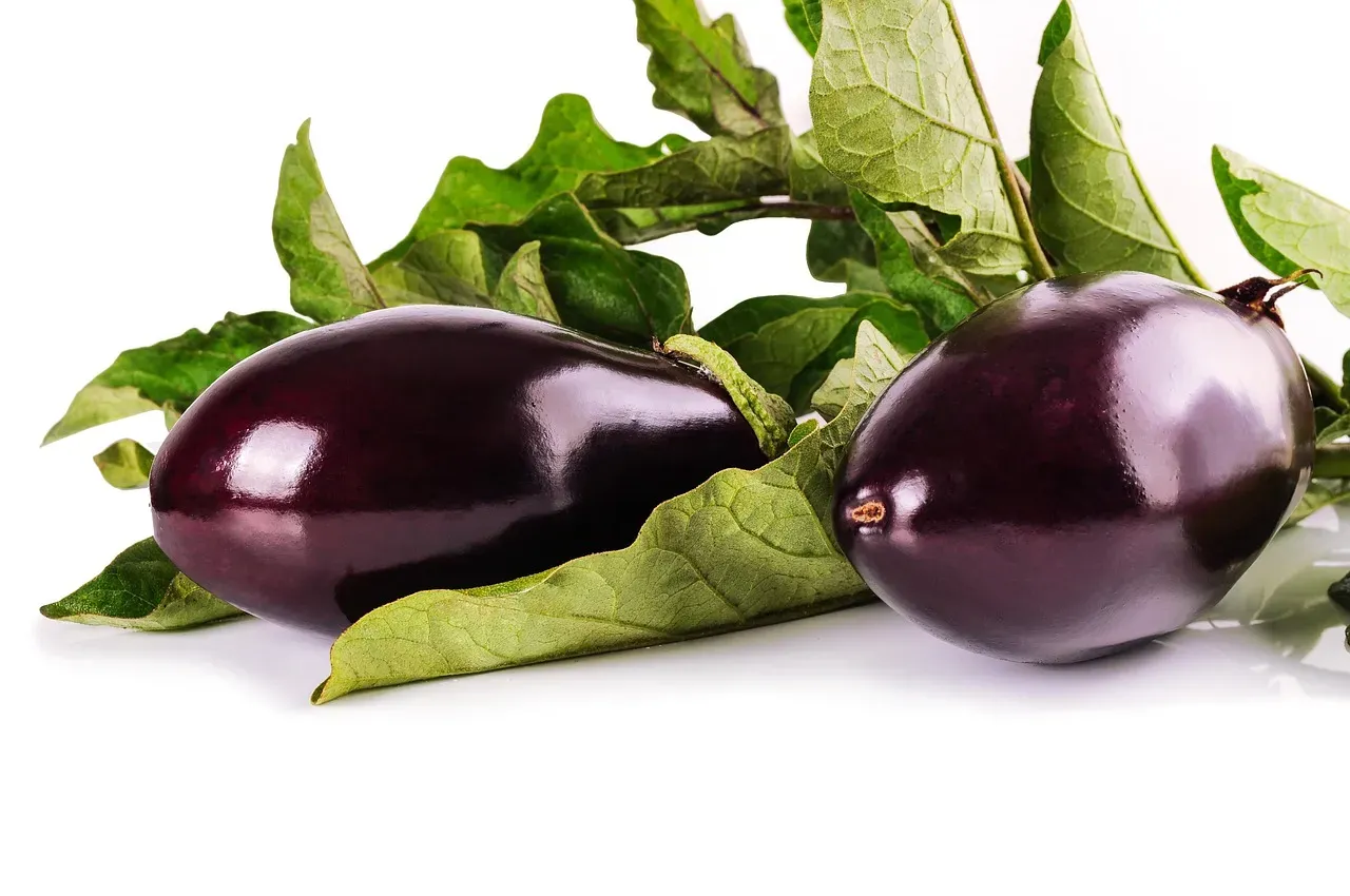 #6 Eggplant (Image Credits: Pixabay)
