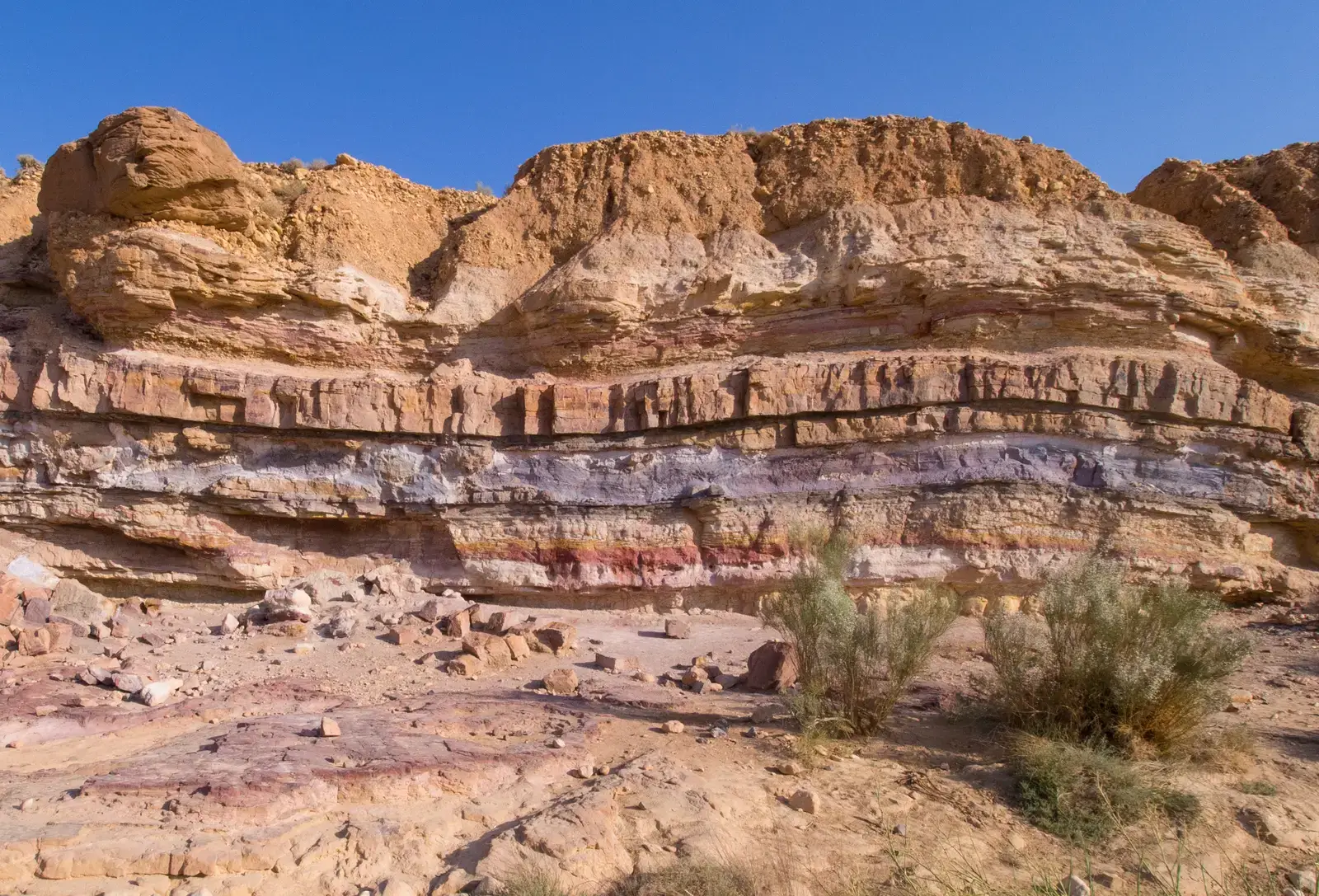 Conclusion: Layers That Speak Across Millennia (Image Credits: Wikimedia)