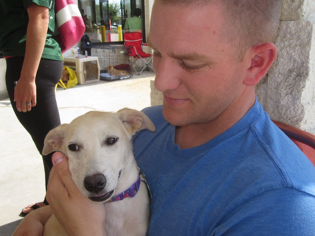 Consider Fostering Before Committing to Adoption (Image Credits: Flickr)