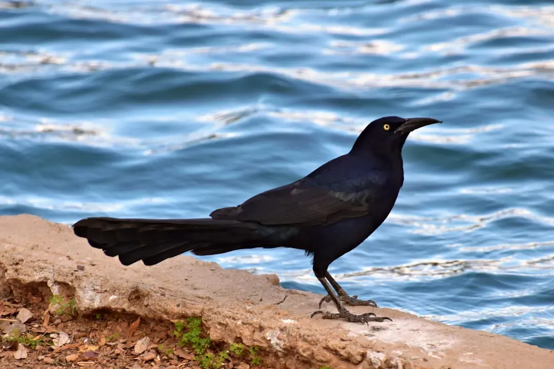 #9: They're Surprisingly Bold Toward Predators (Image Credits: Unsplash)