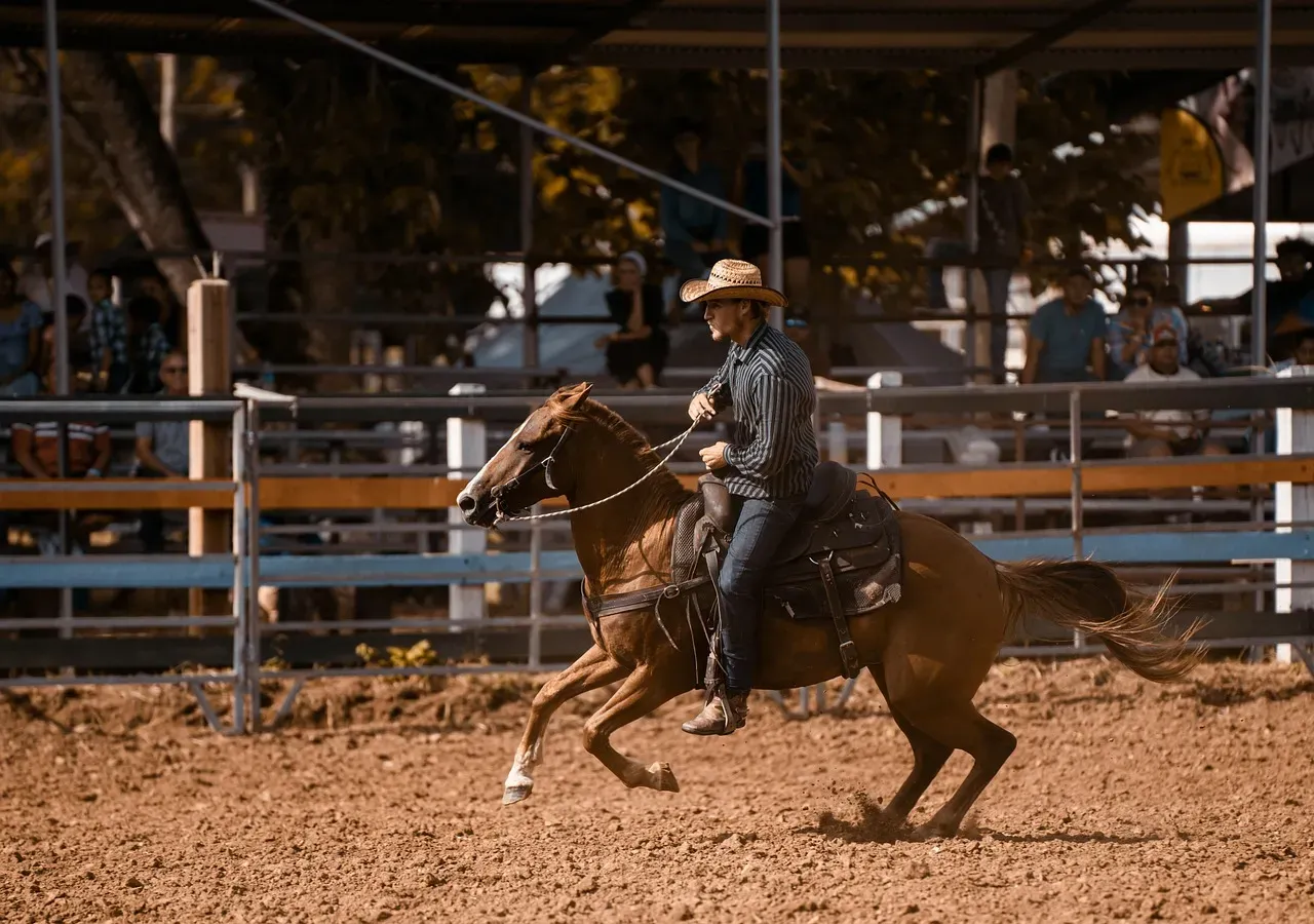 1. American Quarter Horse &ndash; The Undisputed King (Image Credits: Pixabay)