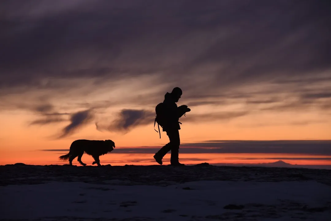 #10 - They Hesitate on Walks Because Their World Looks Different (Image Credits: Unsplash)