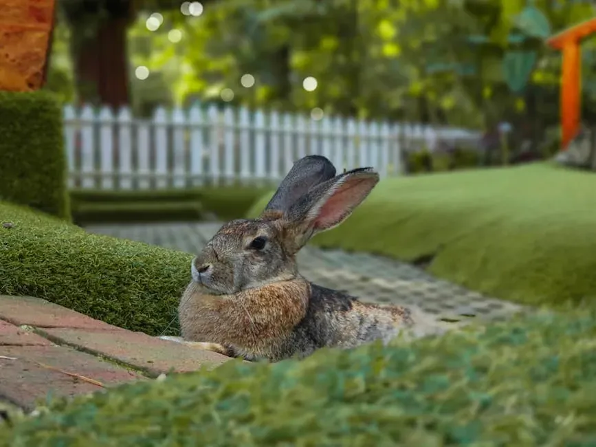 #3: Eliminate Hiding Spots and Nesting Areas (Image Credits: Pexels)