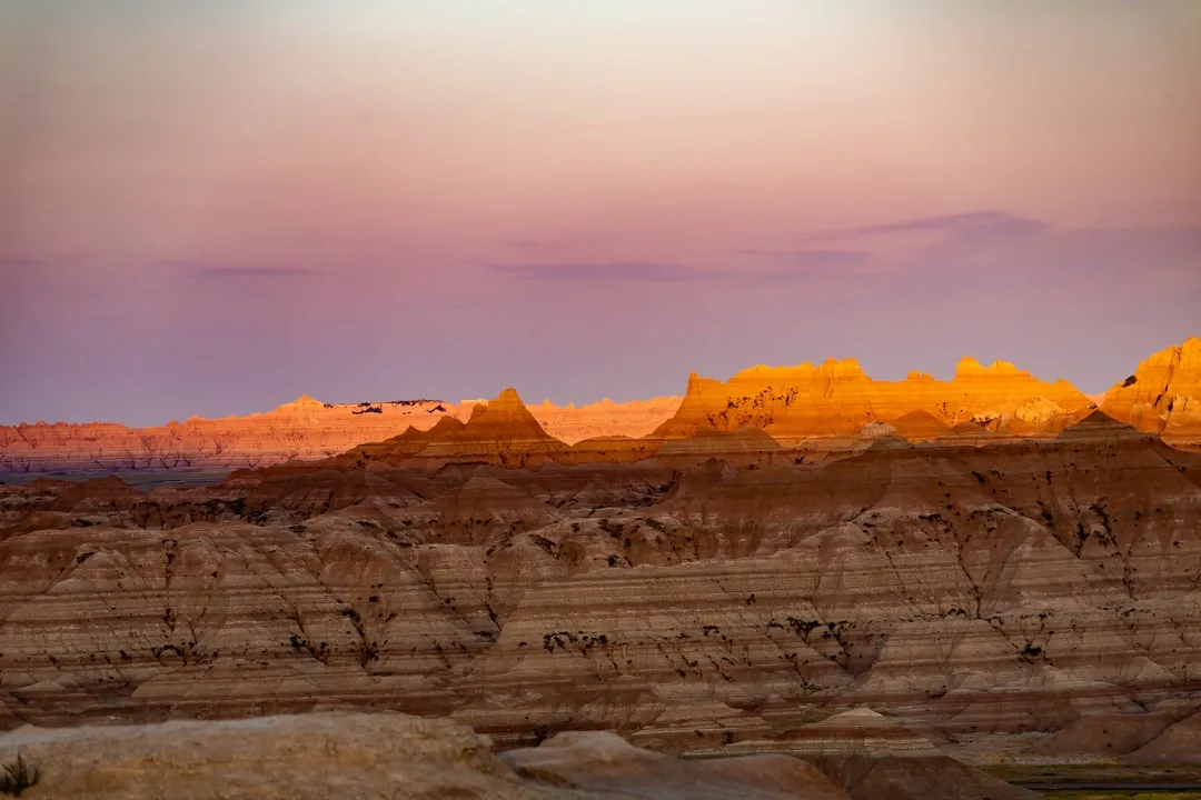 #6 - This Is One of the Richest Fossil Beds on the Entire Planet (Image Credits: Unsplash)