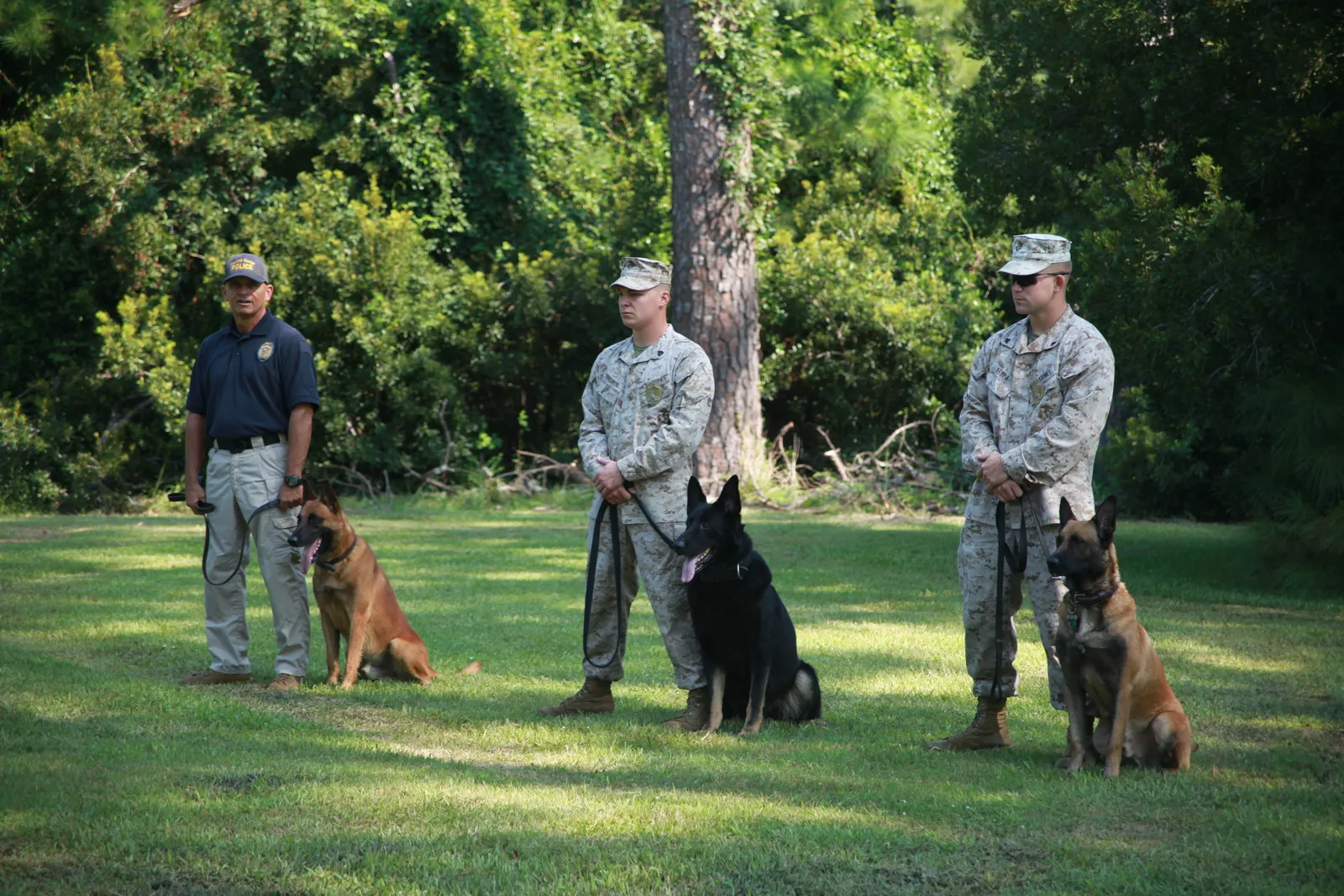 The Bottom Line (By Lance Cpl. S.T. Stewart, Public domain)