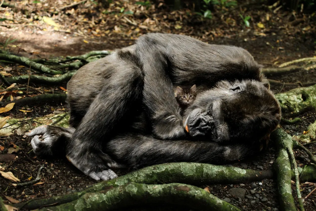 Rare Wildlife That Calls These Forests Home (Image Credits: Pixabay)