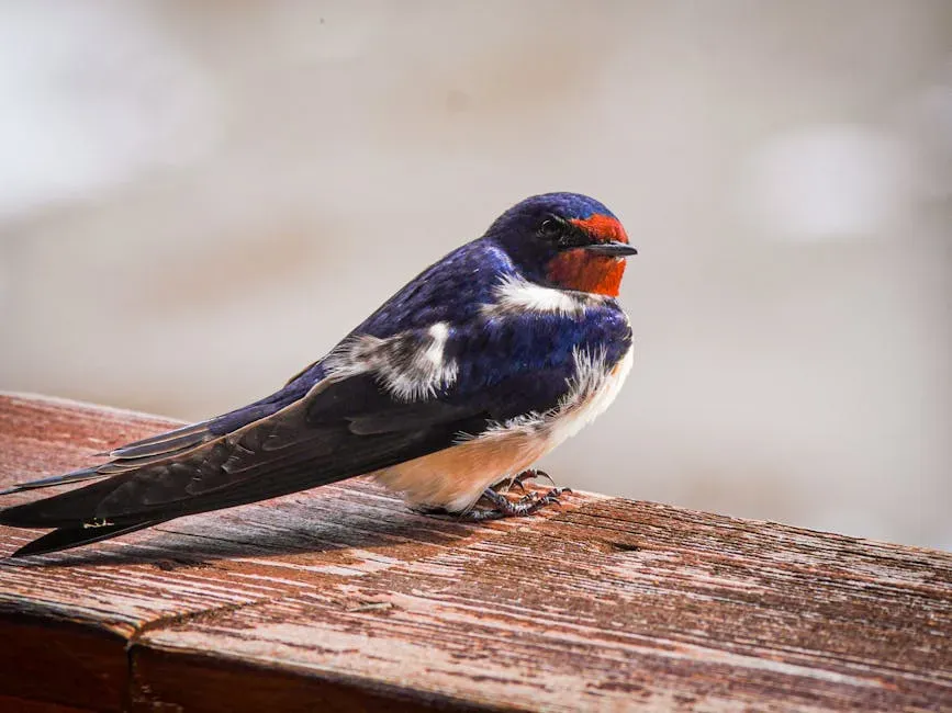 Sailors Tattooed Them as Symbols of Safe Return (Image Credits: Pexels)