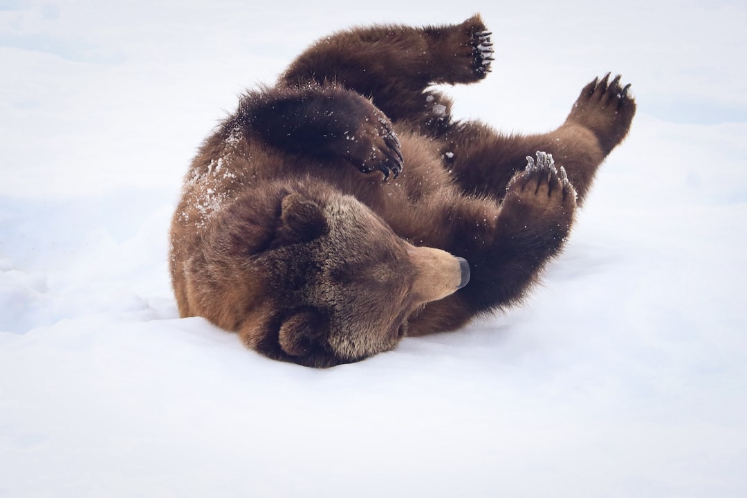 The Art of Flexible Adaptation (Image Credits: Unsplash)