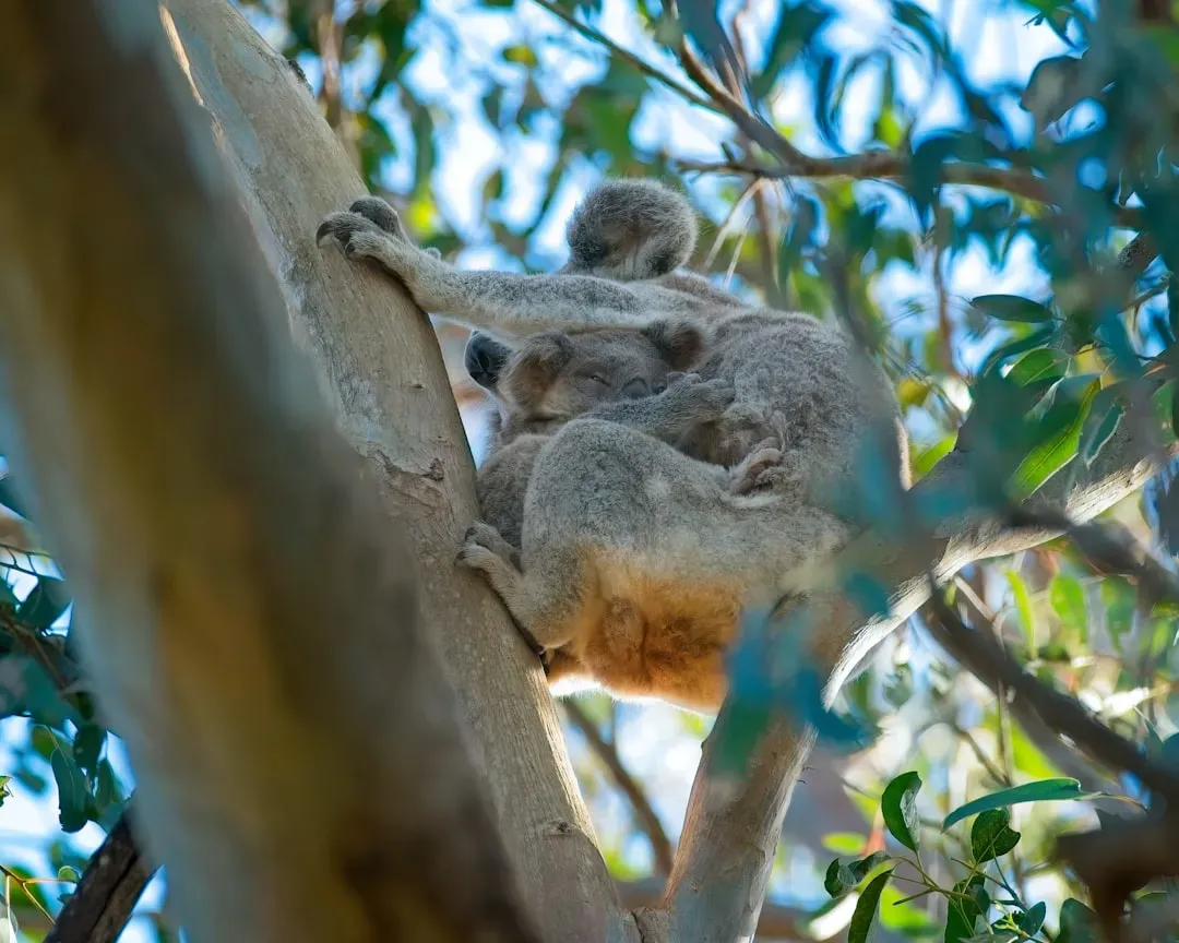 The Breeding Season: When the Stink Wars Hit Their Peak (Image Credits: Unsplash)