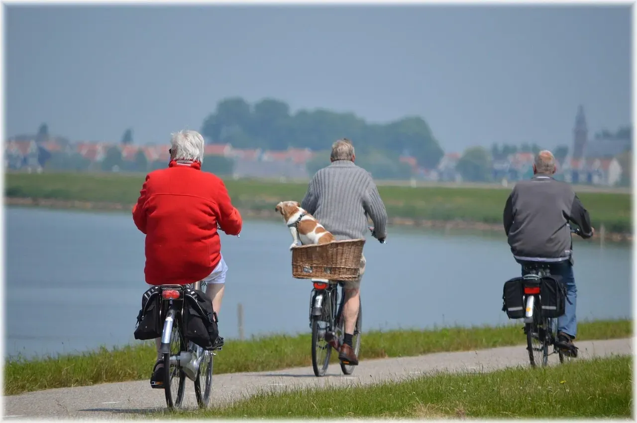 Conclusion: The Old Dog Deserves More Credit (Image Credits: Pixabay)