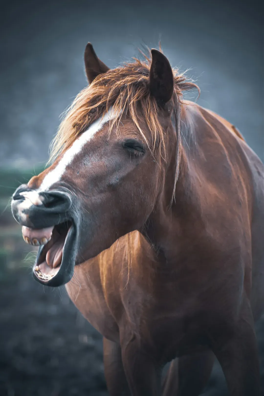 Sudden Aggression or Personality Changes (Image Credits: Unsplash)