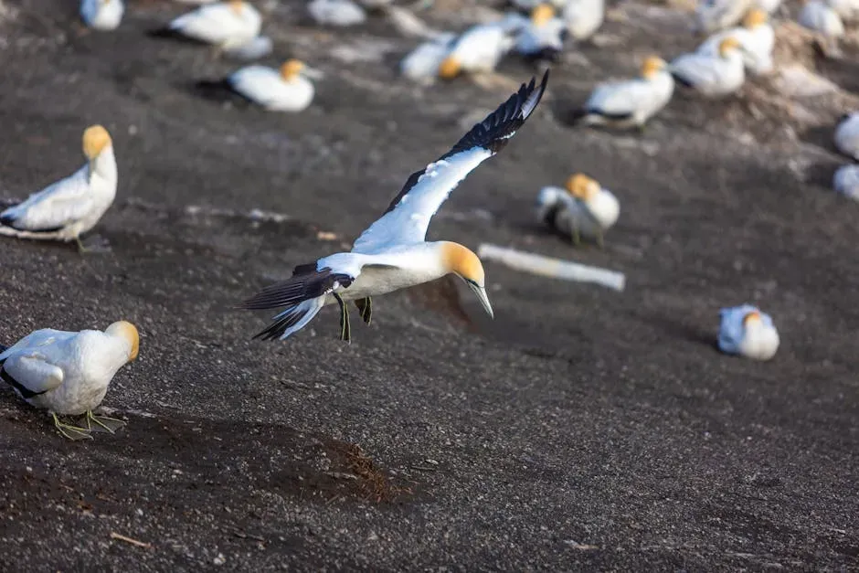 Over 140 Species: A Seabird Spectacle Beyond Imagination (Image Credits: Pexels)