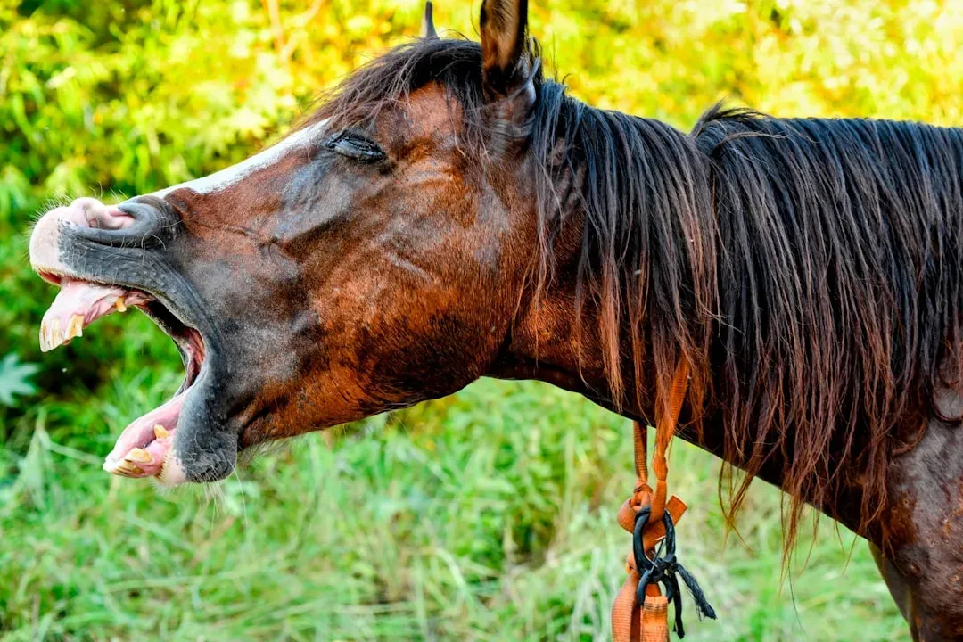 6. A Loose, Droopy Lower Lip (Image Credits: Unsplash)