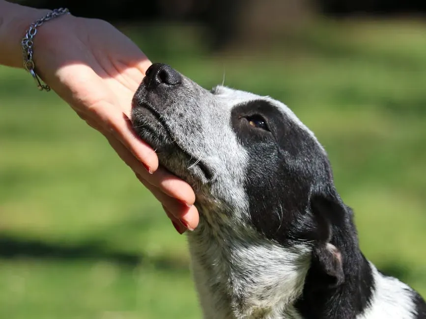 #11: They Allow You Into Their Personal Space Without Hesitation (Image Credits: Pexels)