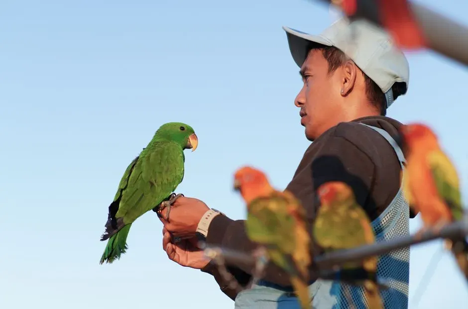 Practical Observations for Bird Owners (Image Credits: Pexels)