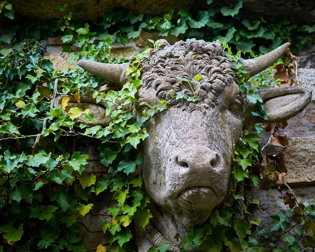 Conclusion: Your Spirit Guide Awaits (Image Credits: Flickr)