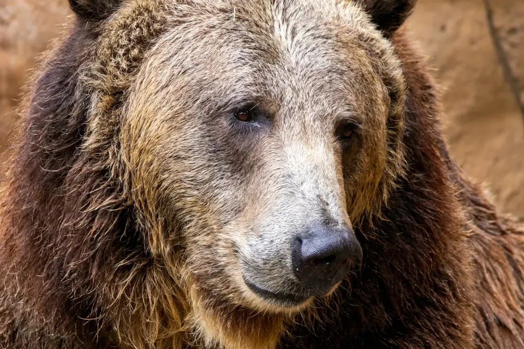 Representing Courage and Resilience (Image Credits: Unsplash)
