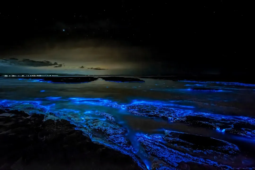 Glowing Ocean Waves That Light Up the Night (Image Credits: Unsplash)