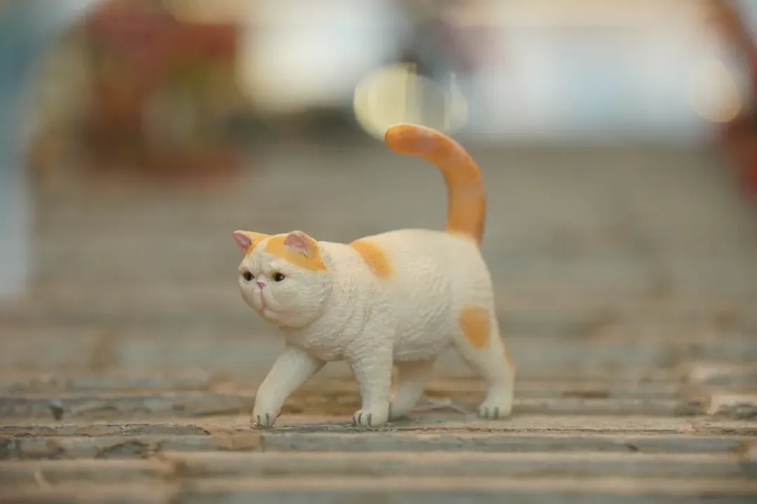 6. Upright Tail Greeting (Image Credits: Unsplash)