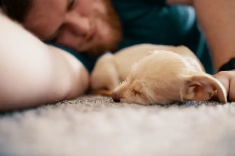 How This Builds a Deeper Connection (Image Credits: Pexels)