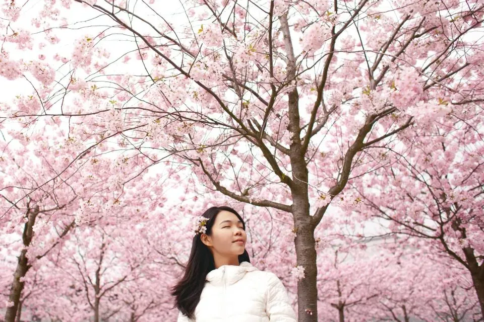 Conclusion: Let Your Bloom Find You (Image Credits: Stocksnap)