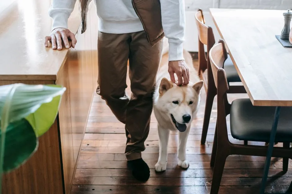 #6 - The &ldquo;Shadow&rdquo; That Only Activates Around You (Image Credits: Pexels)