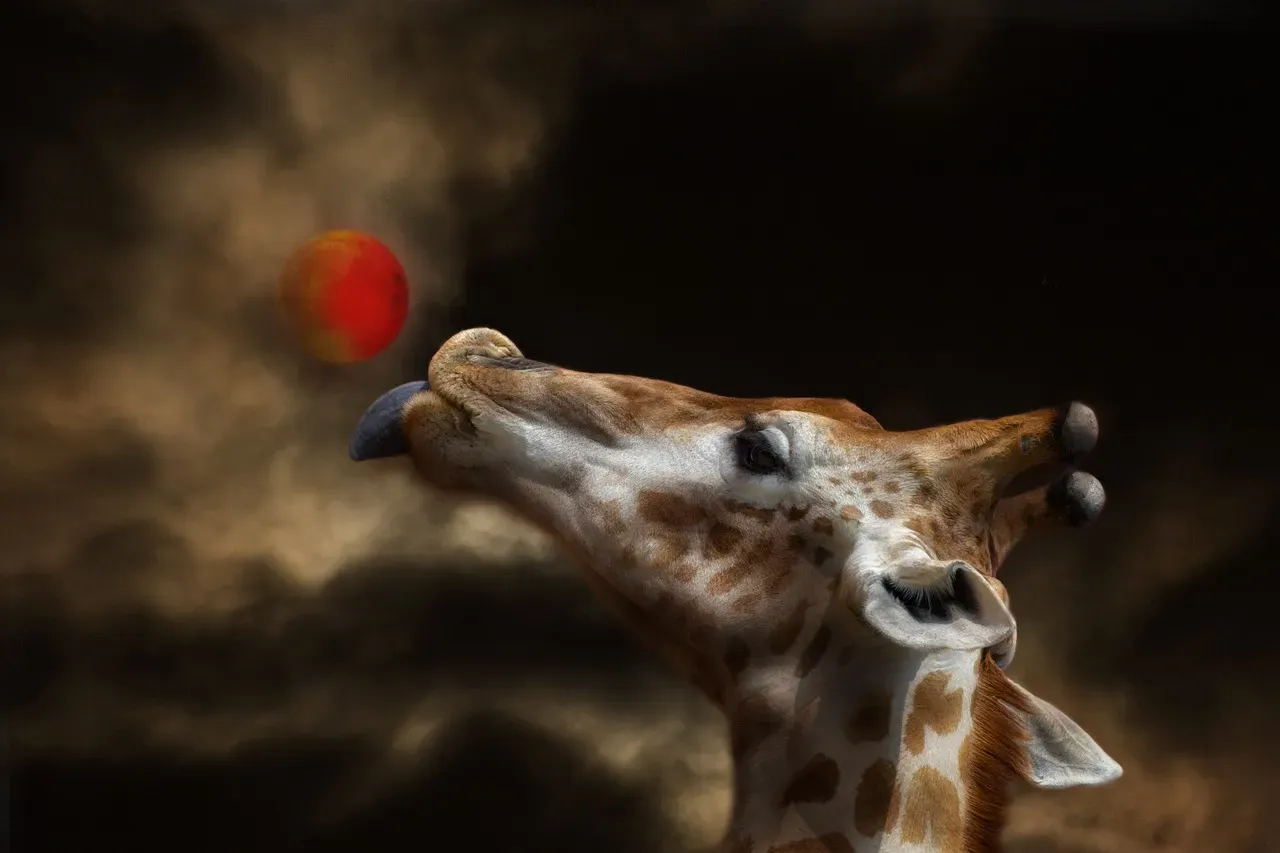 The Giraffe's Nocturnal Hum (Image Credits: Pixabay)