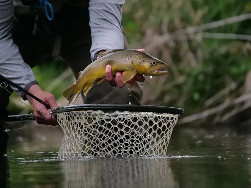 9. White River, Arkansas: Trophy Brown and Rainbow Trout in the South (Image Credits: Pexels)