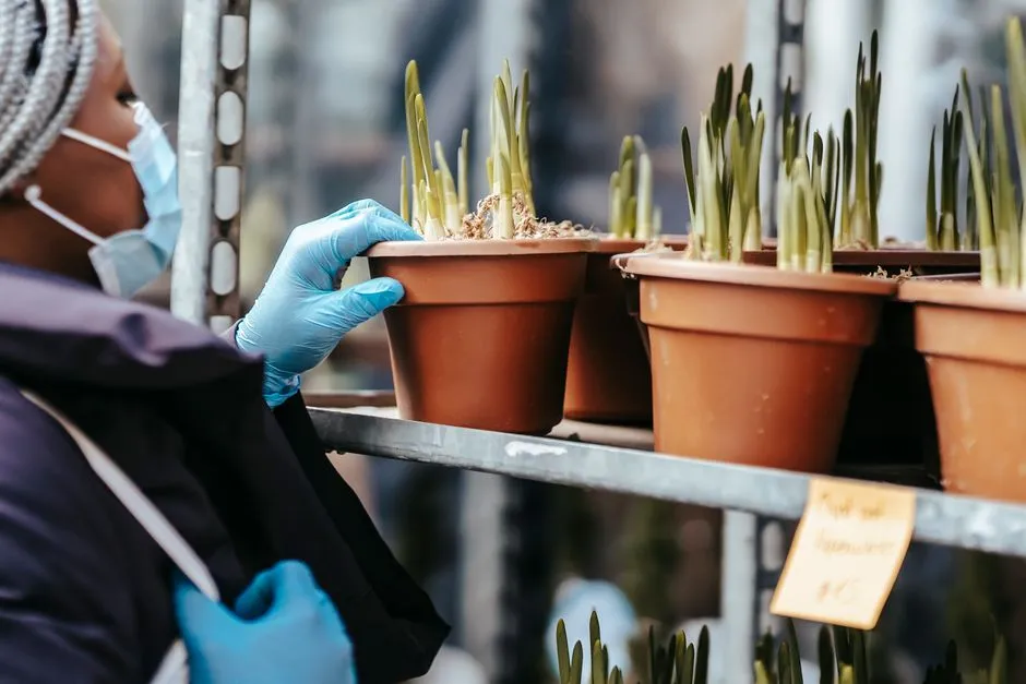 #11 - &ldquo;I Bought Whatever Looked Good at the Nursery&rdquo; (Image Credits: Pexels)