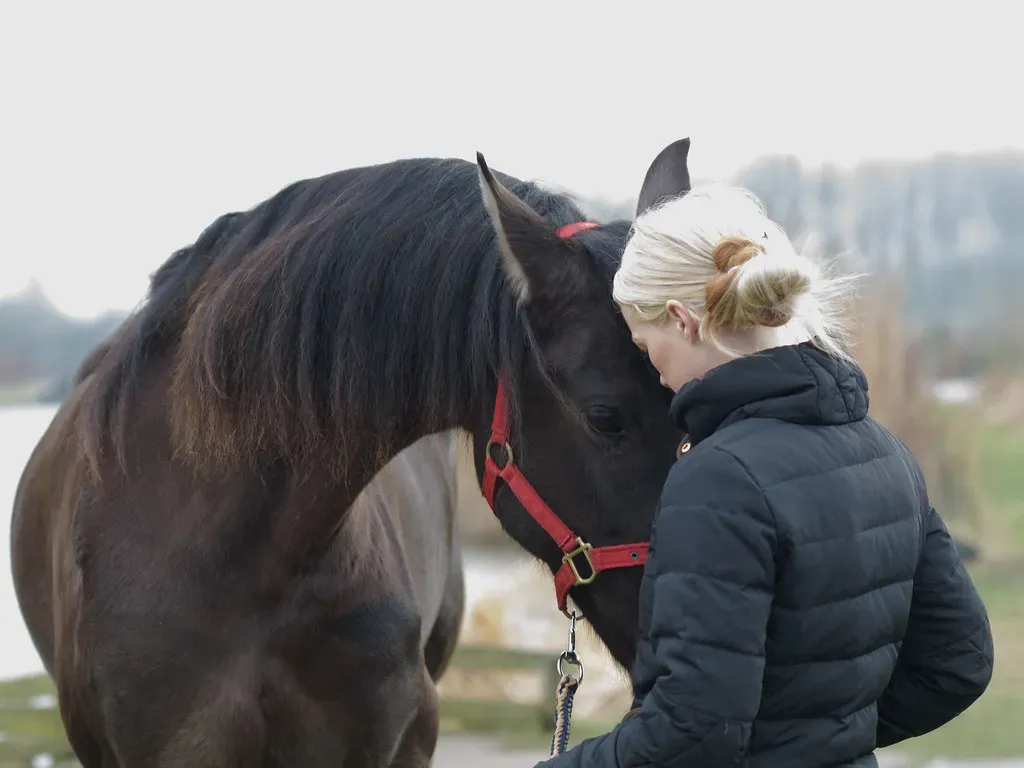 They Groom You Right Back (Image Credits: Flickr)