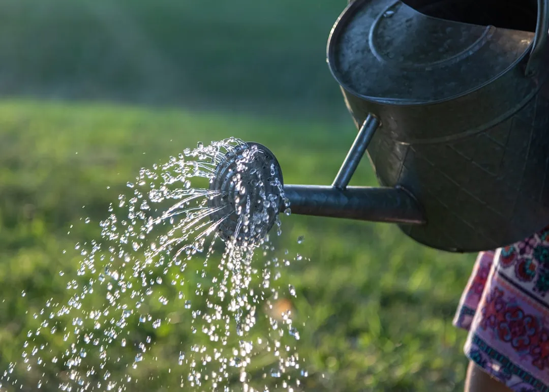 #3 - Watering "A Little Every Day" Slowly Kills Most Gardens (Image Credits: Unsplash)