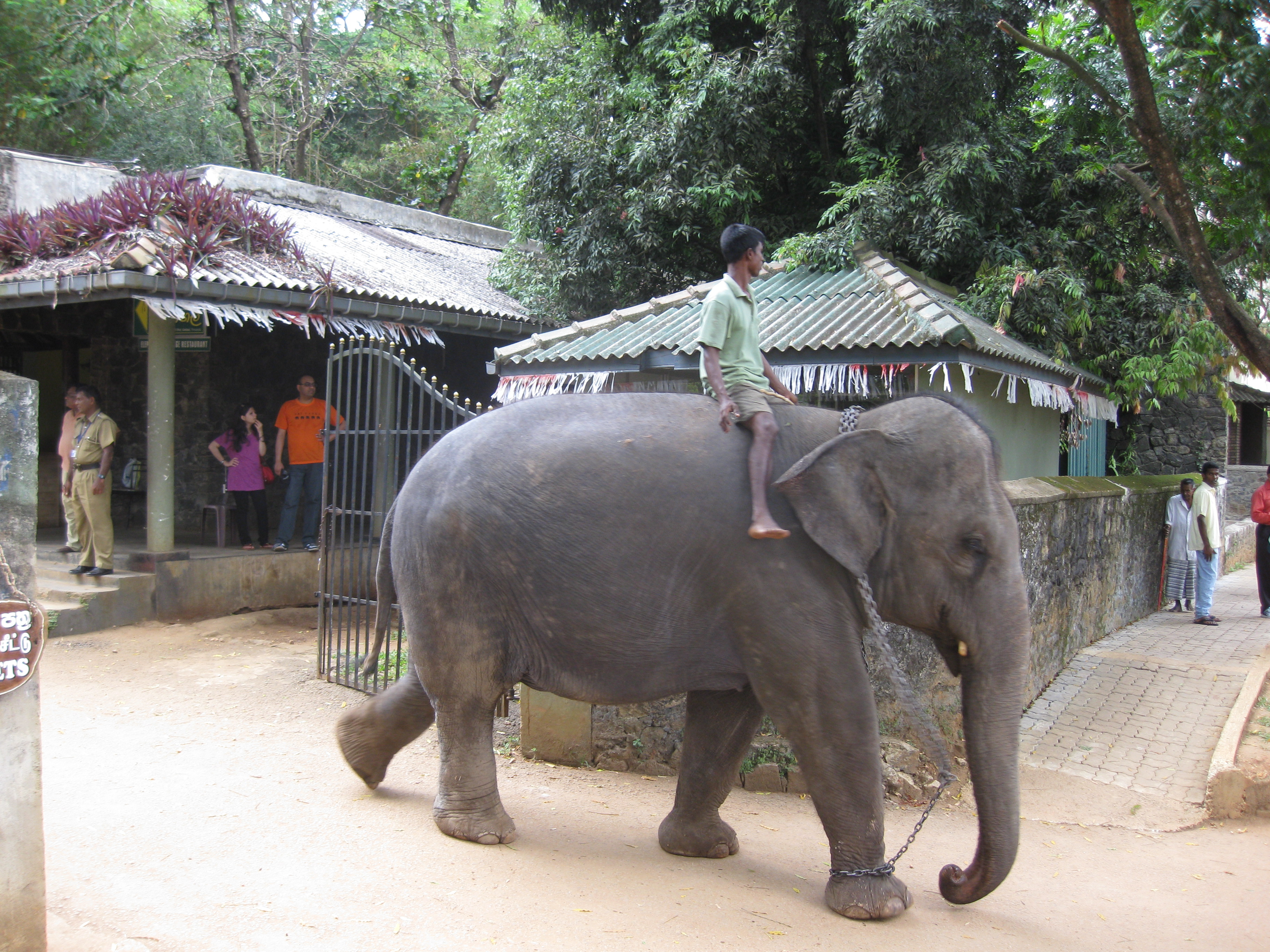 The Heartbreaking Evidence Left Behind (Image Credits: Wikimedia)