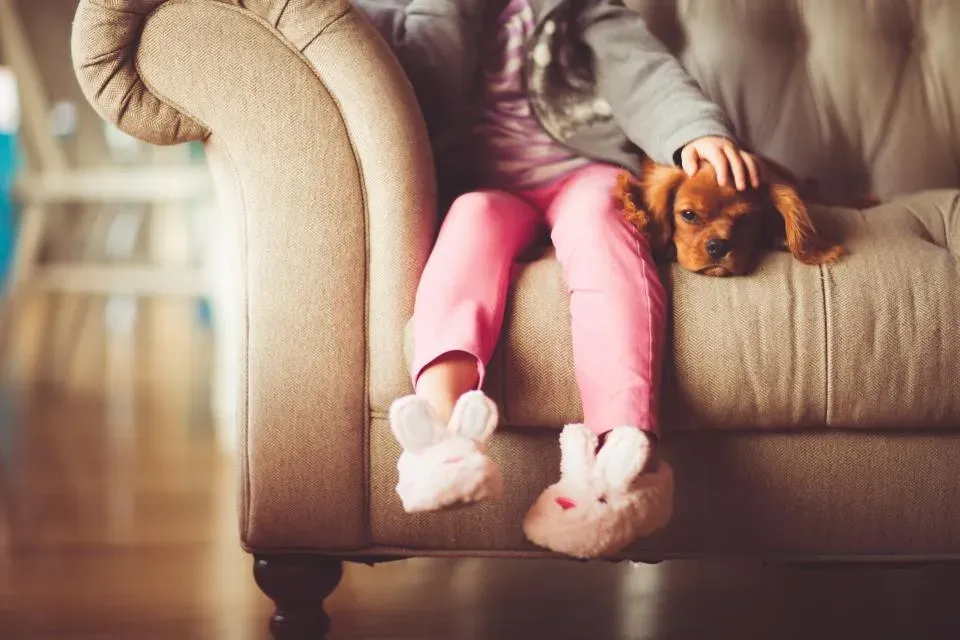 Your Stress Hormones Drop Almost Instantly (Image Credits: Stocksnap)