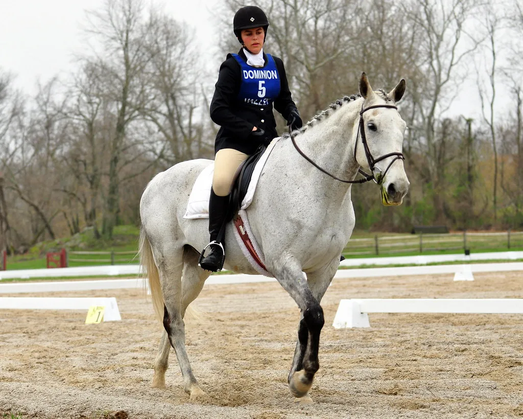 #2 - Scanning Every Face in the Barn, Then Deflating (DVPonyClub, Flickr, CC BY 2.0)