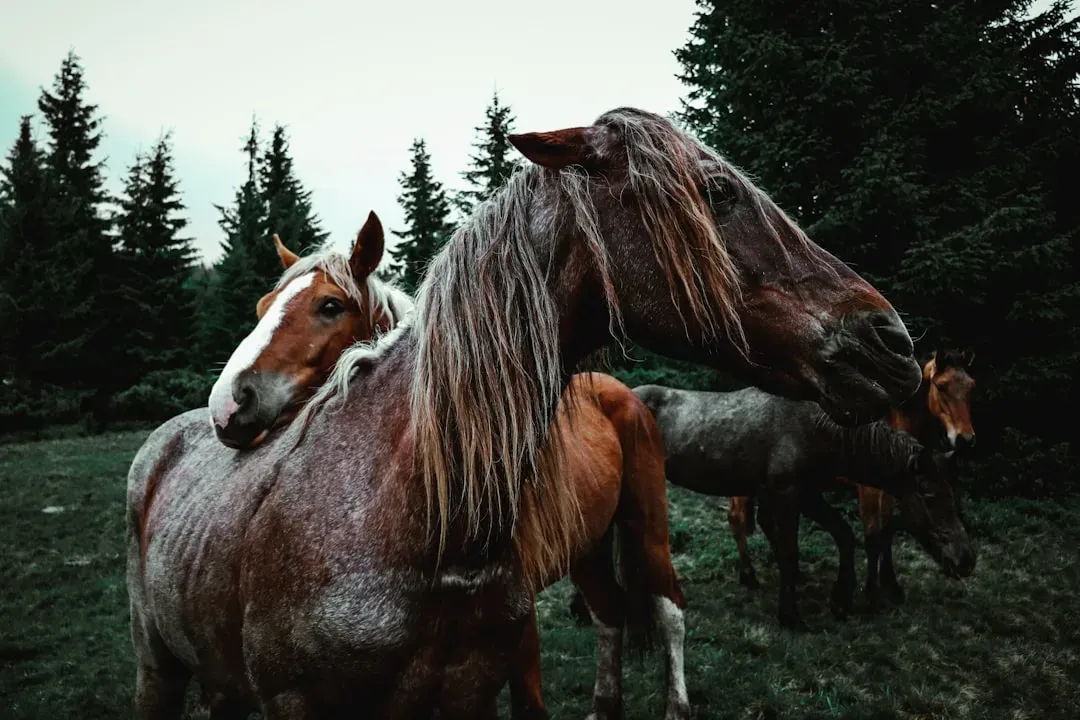 Social Bonds That Keep Them Warm and Safe (Image Credits: Unsplash)