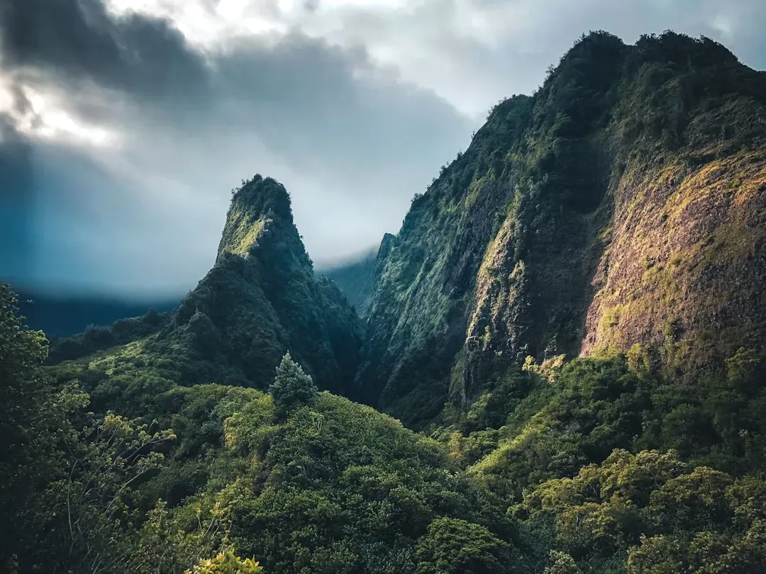 Iao Valley State Park (Image Credits: Unsplash)