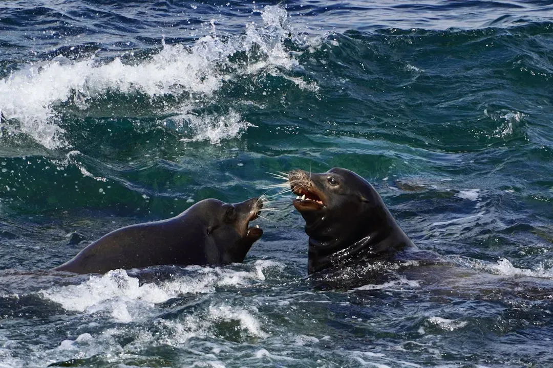 Sea Otters: Cute Faces Hiding Horrifying Behavior (Image Credits: Unsplash)