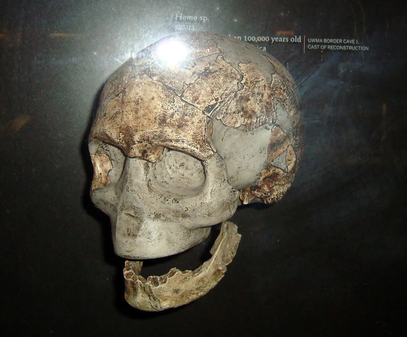 Our Species Emerged Far Earlier Than Once Believed (By Wapondaponda, CC BY-SA 3.0)