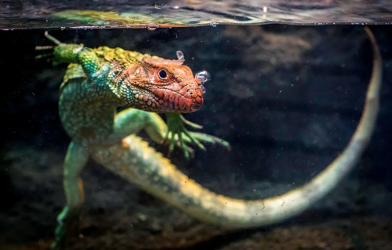 #1 - Sacrificing Their Own Body Parts To Escape Alive (Image Credits: Pixabay)