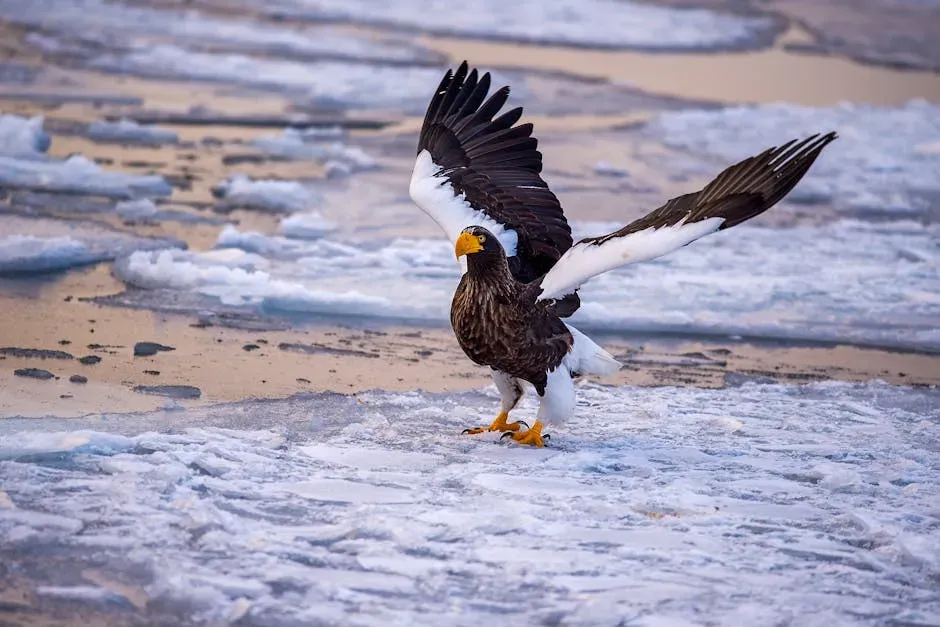 Fact 2: Its Wingspan Is the Stuff of Legends (Image Credits: Pexels)