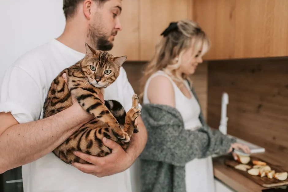 #4 - They Notice Everything, Including Your Entire Routine (Image Credits: Pexels)