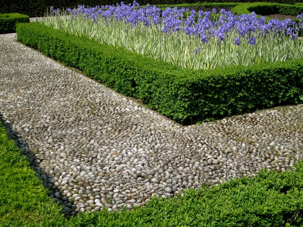 6. Boxwood: Evergreen Structure Rabbits Rarely Touch (La Citta Vita, Flickr, CC BY-SA 2.0)