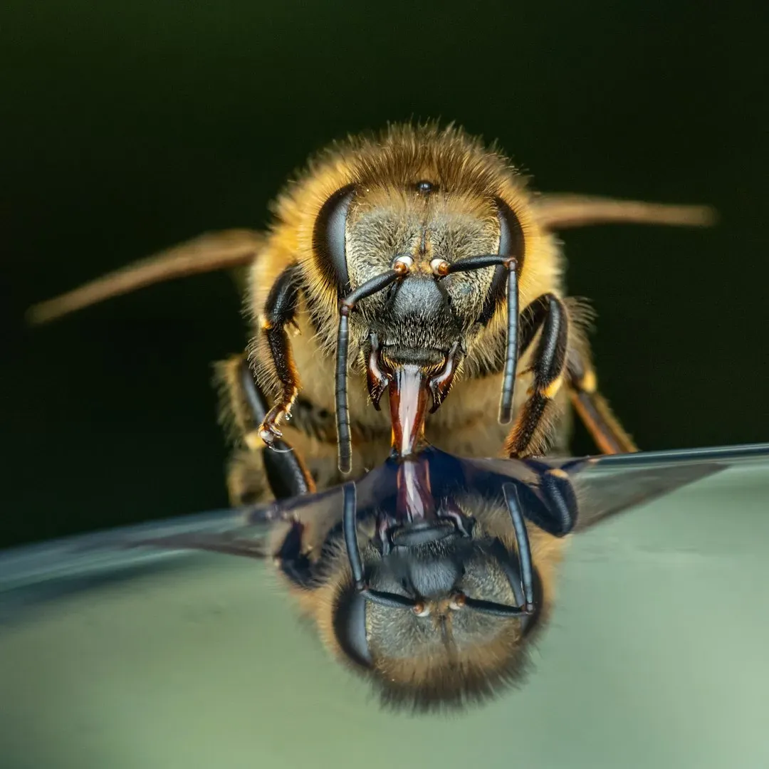 Why Jumping in Water Will Get You Killed (Image Credits: Unsplash)